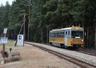 VT13 nach Litschau (8)